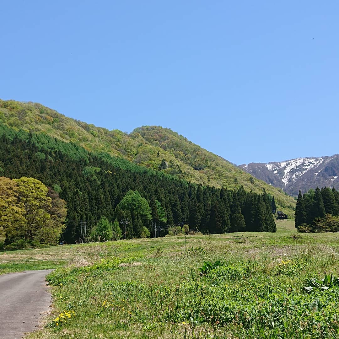 柄沢から山頂方面を見て