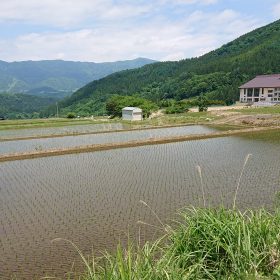 田植えが終わった後