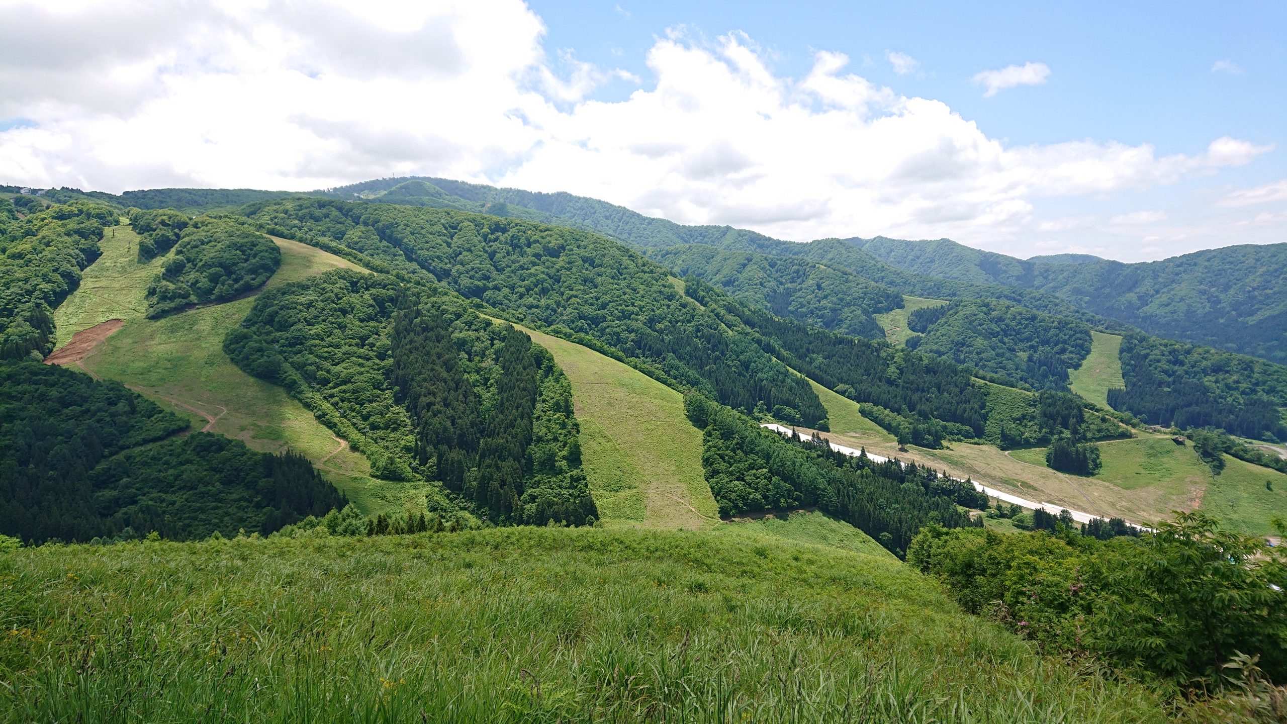 夏のスキー場