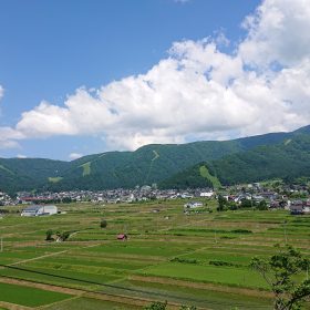 野沢の田んぼ-夏